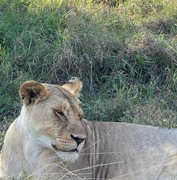 Dream Wonders Travel-莫西必去景点