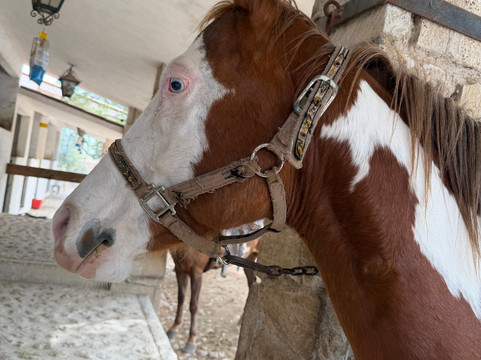 Cabalgando En Tequis-Tequisquiapan必去景点