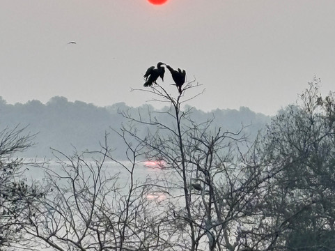 Wildnest Travel & Photography-孟买必去景点