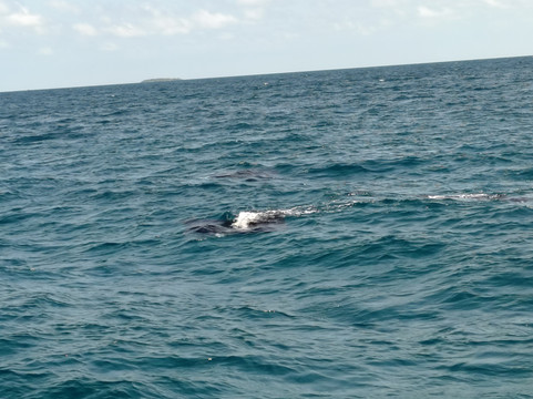 Euro-Divers Eri Maldives-马累北环礁必去景点