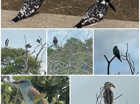 Loisico Tours and Excursions-Bloubergstrand必去景点