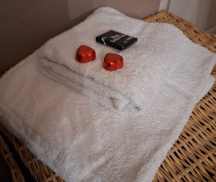 莫雷城堡民宿主图