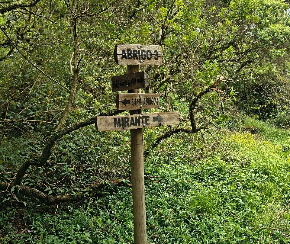 Pedra do Sino-Guapimirim必去景点