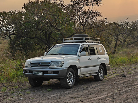 Vintage Ethiopia Tour And Travel-Jimma必去景点