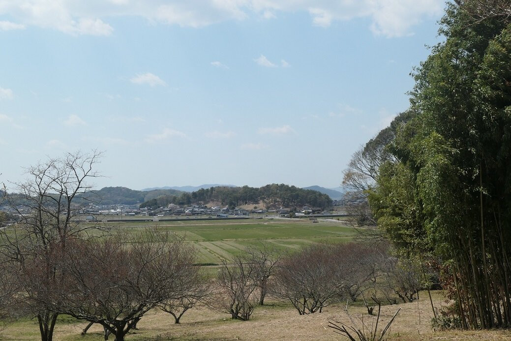 Bicchukokubunji Temple-总社市必去景点