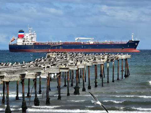 Costanera de Punta Arenas-蓬塔阿雷纳斯必去景点