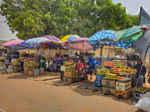 Buba's Gambia - Tours-塞瑞库达必去景点