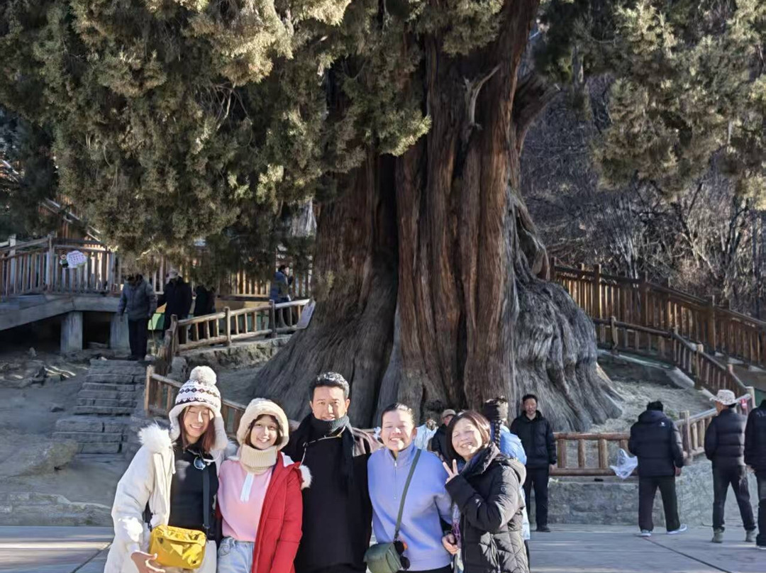 Amazing Xizang Tour-拉萨市必去景点