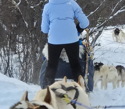 Pirate Husky-Borselv必去景点