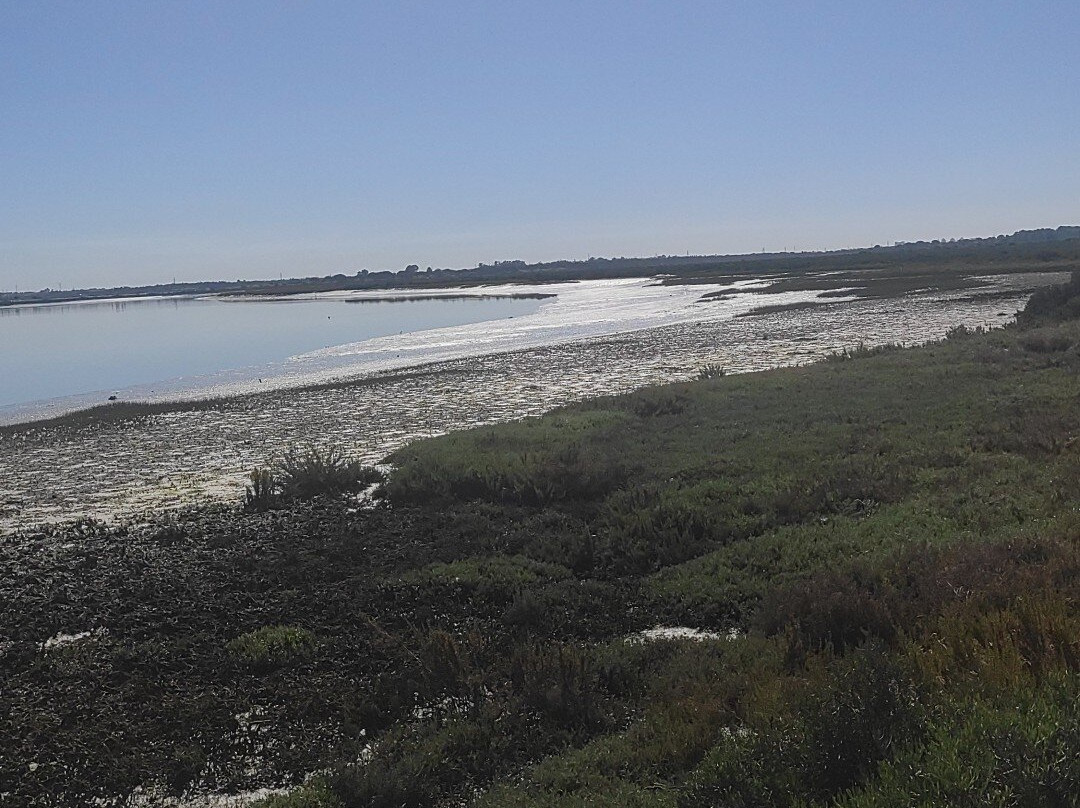 El Parque Metropolitano Marisma De Los Toruños y Pinar De La Algaida-Valdelagrana必去景点