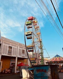 Santuario de las Luciérnagas - Bosque Mágico-Tlaxcala必去景点