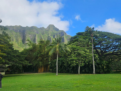 Go City | Oahu-瓦胡岛必去景点