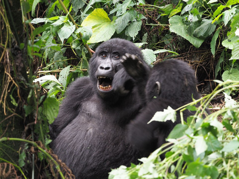 Rwizi Africa Expeditions-坎帕拉必去景点