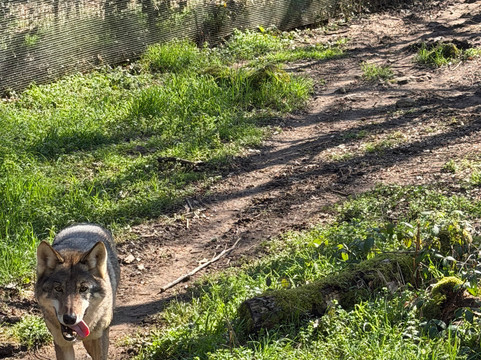 Parco Zoo di Poppi-波皮必去景点