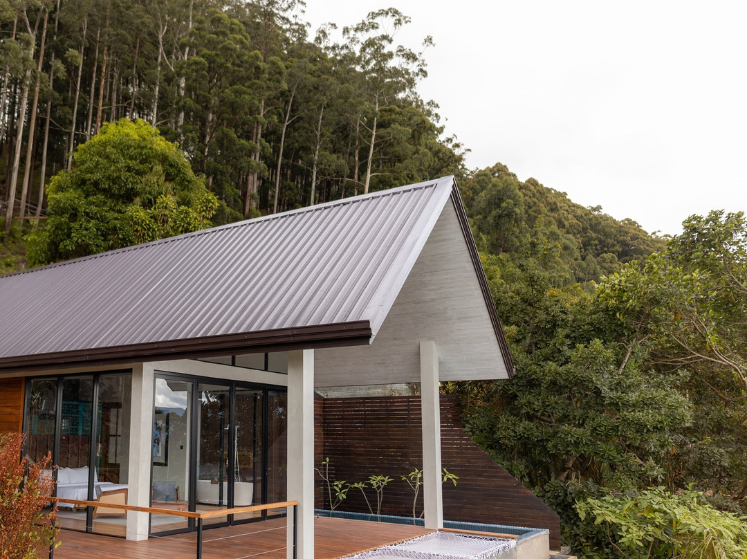 安德里亚拉主图