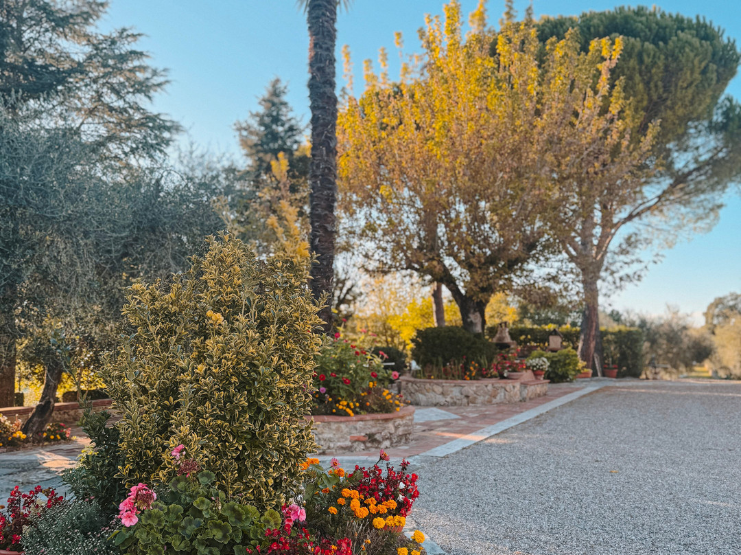 Montalpruno Winery-波吉邦西必去景点