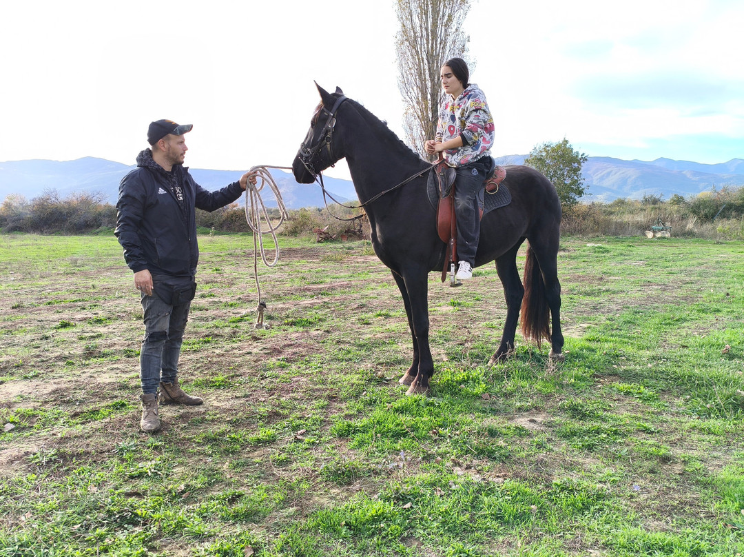 Friesian Land Horse Riding-Florina必去景点