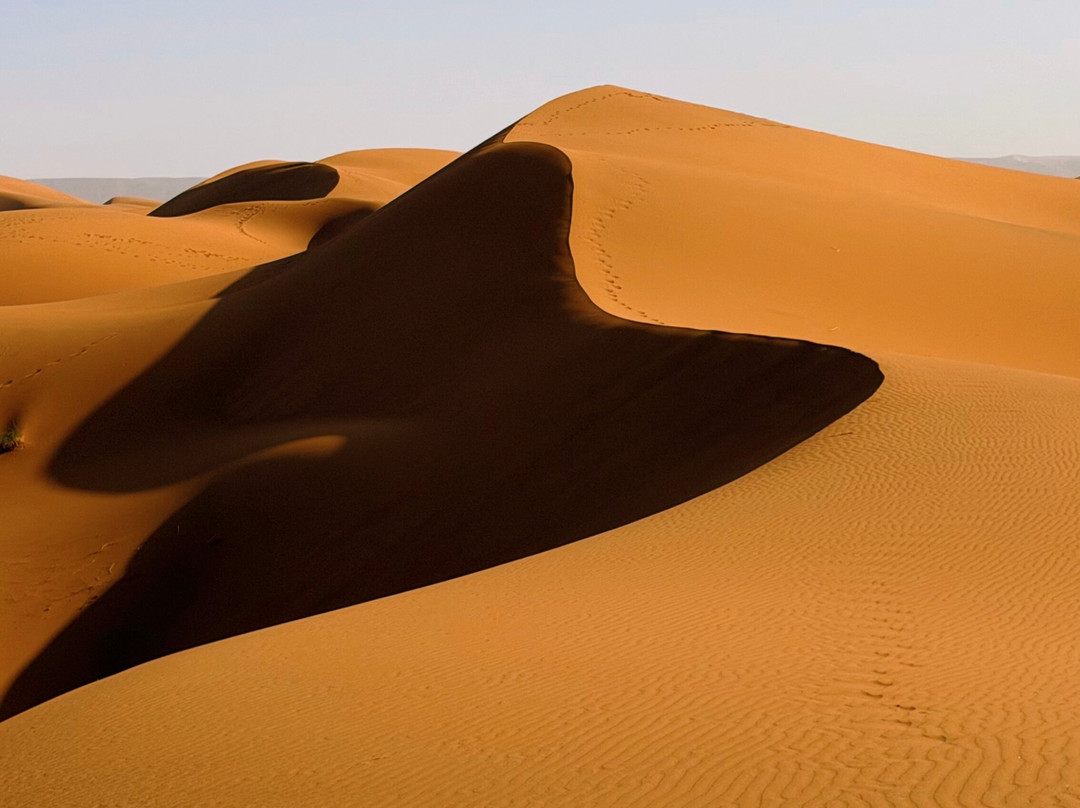 Sahara mystery-迈哈米德必去景点