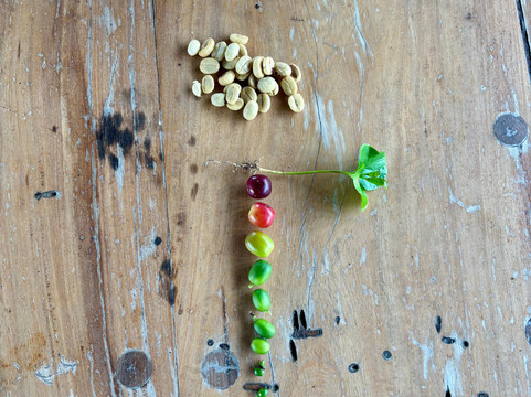 Finca Villa Nora主图