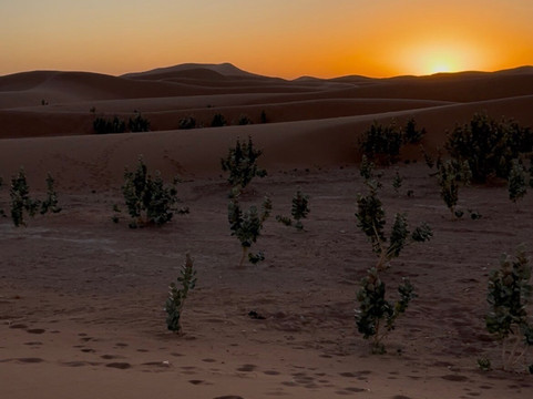 Zbartravel-扎古拉必去景点