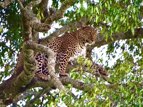 Odyssey Safaris-南由基必去景点