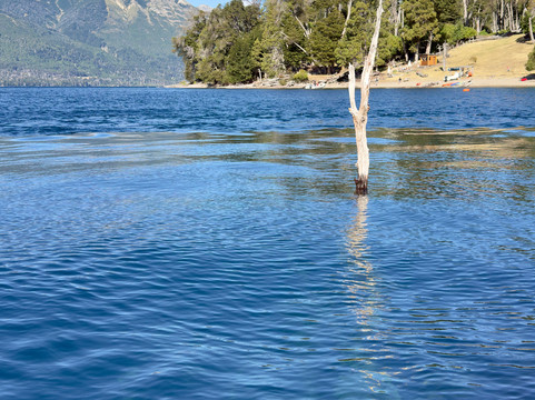 Bosque Sumergido-Villa Traful必去景点