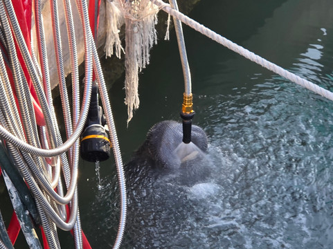 Captain Slate's SCUBA Adventures-Tavernier必去景点