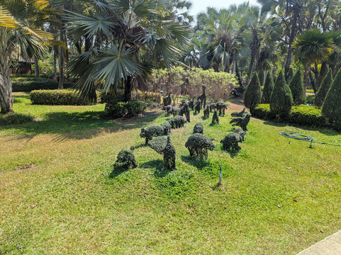 Tweechol Botanic Garden-雷沙革必去景点