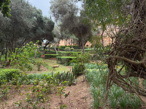 Chellah Rabat-拉巴特必去景点