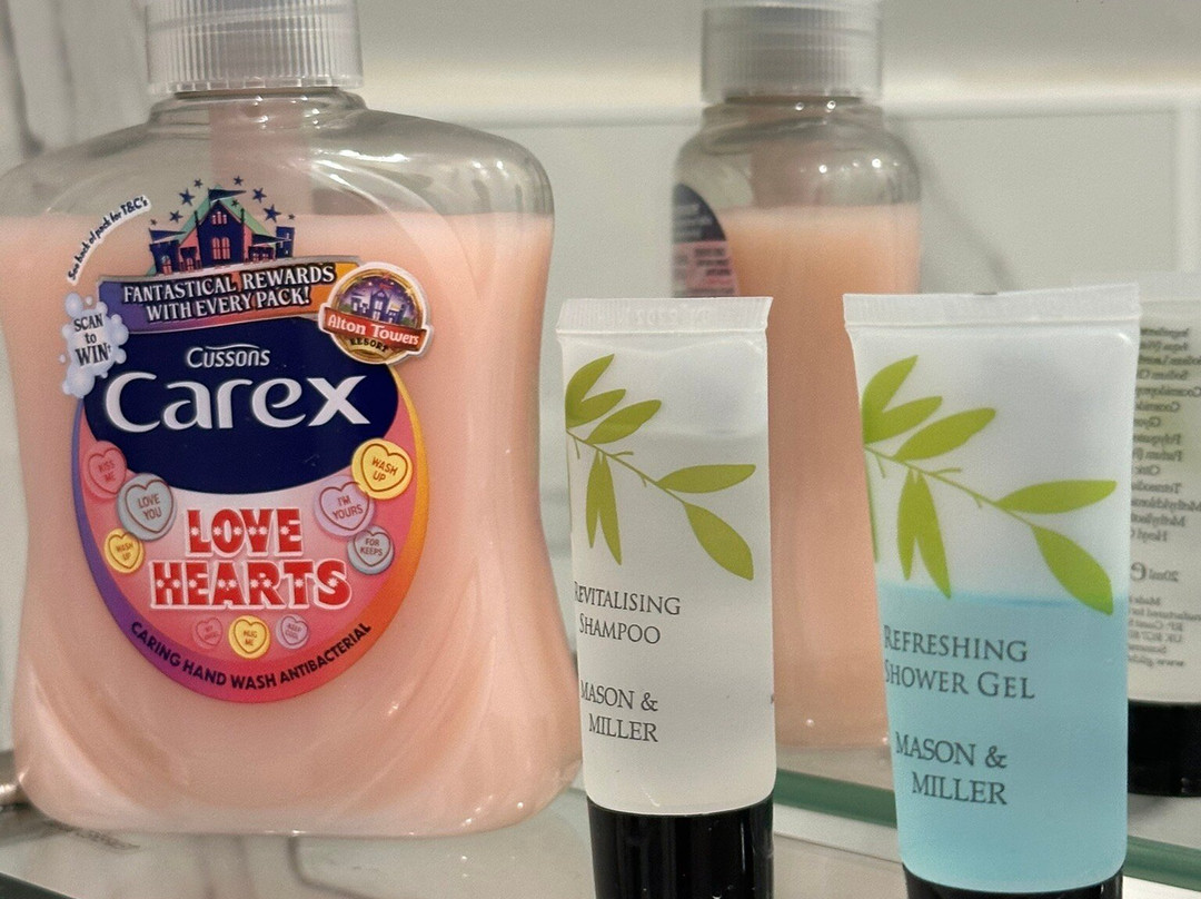 The Old Railway Hotel - Porton主图