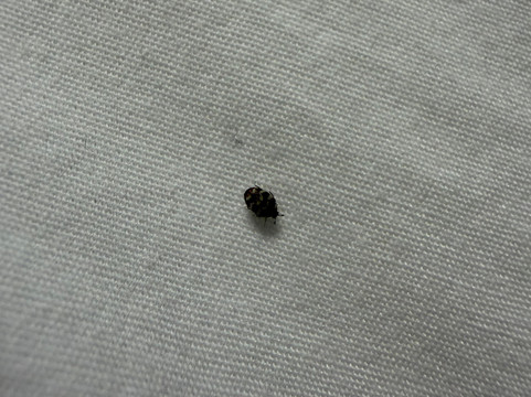 希尔顿欢朋酒店-大学公园市主图