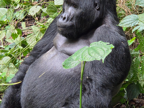 Empirical Tour and Travel Ltd-吉塞尼必去景点