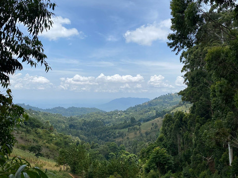 Shambaa Eco Tours-卢绍托必去景点