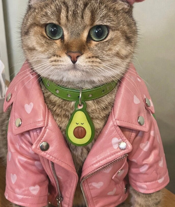 Plaza Premium Lounge (US Departures)-Nisku必去景点