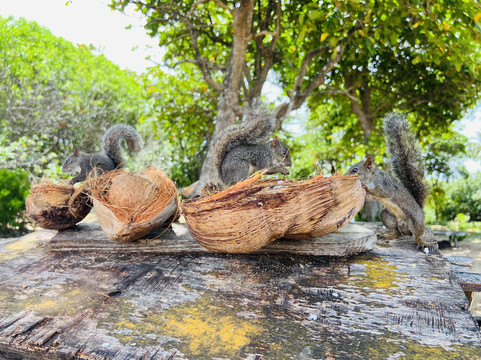 4trip | Passeios e transporte-嘎林海斯港必去景点