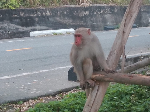 Quang Easyrider - Day Tours-岘港必去景点