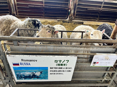 World Sheep Museum-士别市必去景点