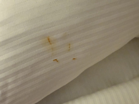 死亡谷牧场酒店主图