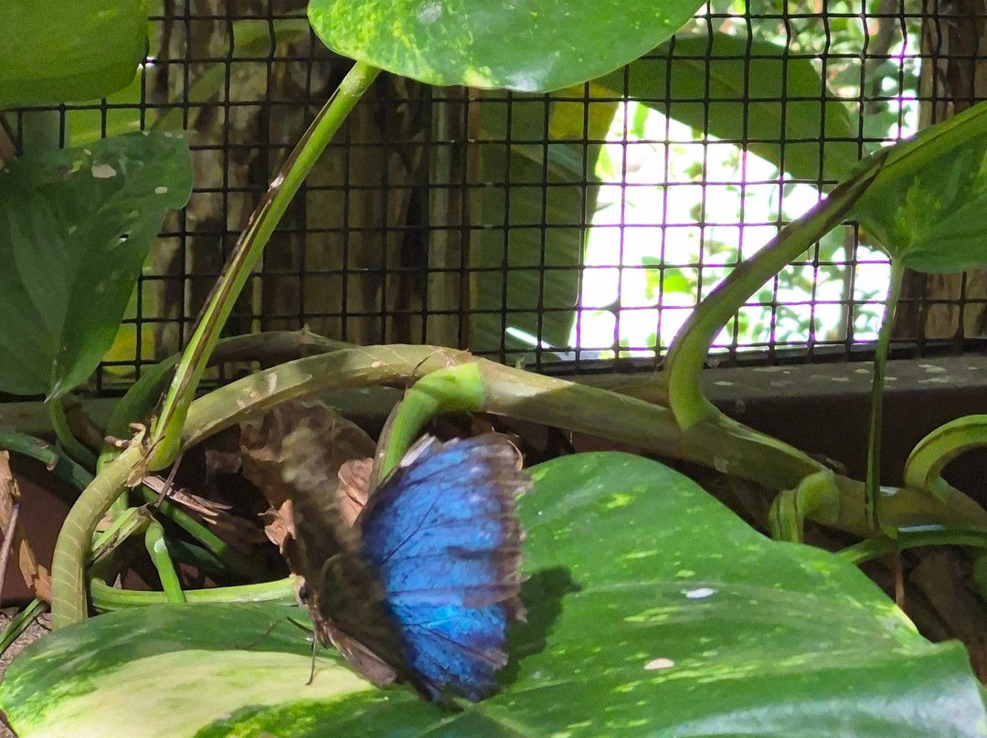 Diamante Eco Adventure Park-Playa Matapalo必去景点