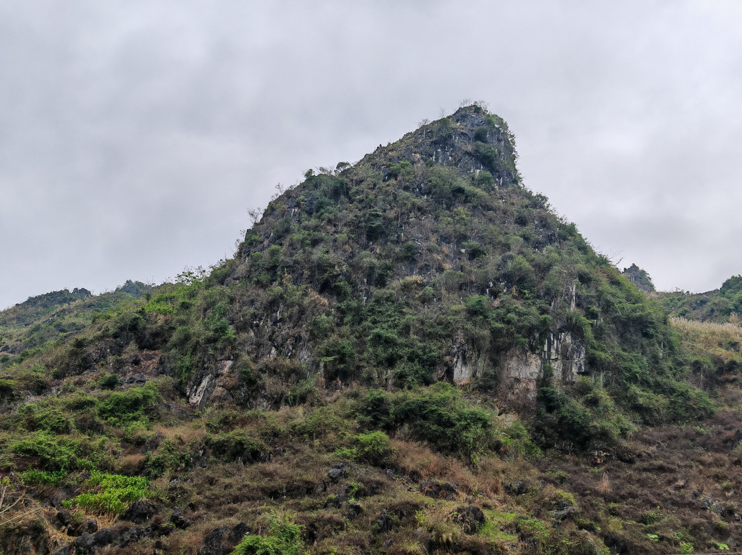 哈革良Yolo房屋和环游主图