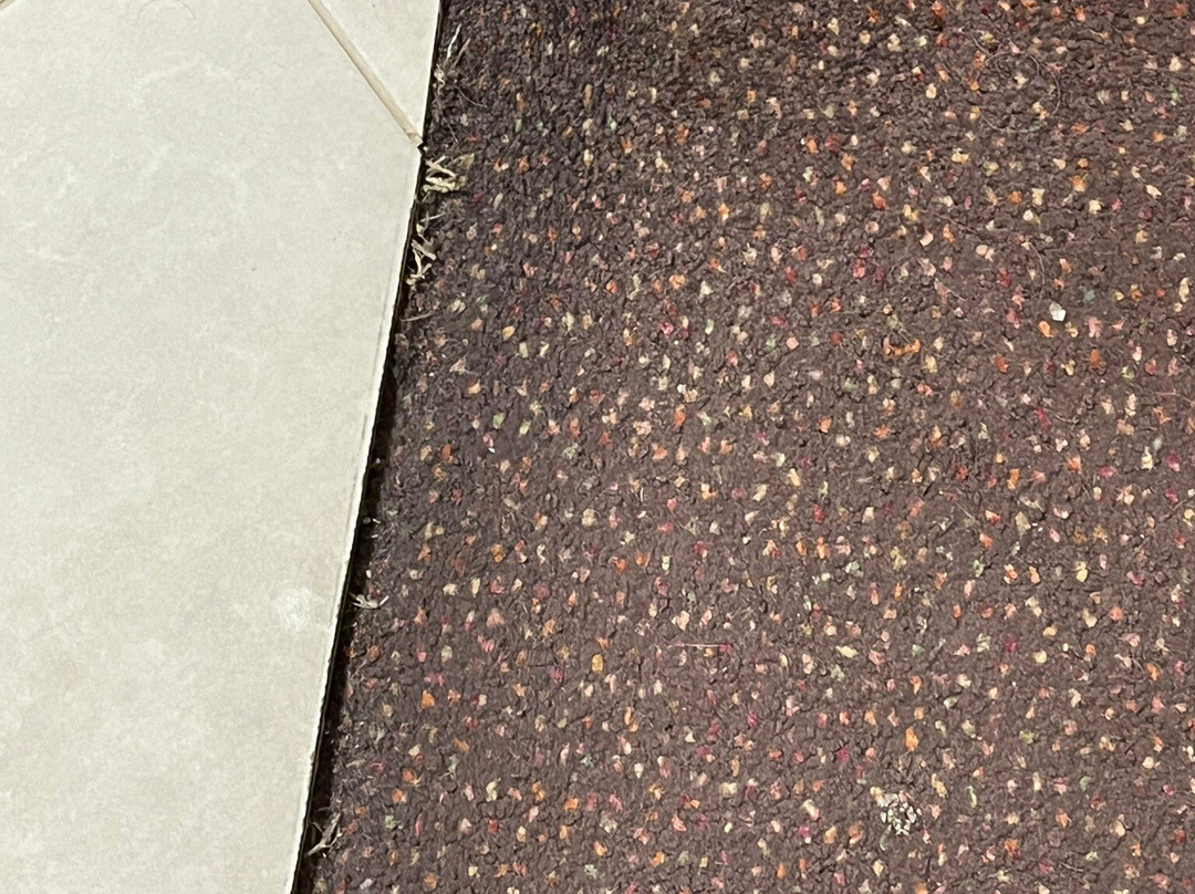 埃普瑟姆Sure Hotel Collection by Best Western兰花主图