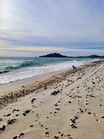 Cabo Pulmo Beach Resort-泳池