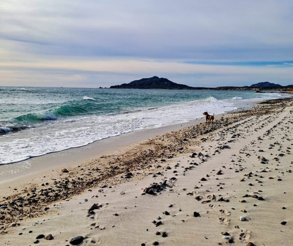 Cabo Pulmo Beach Resort主图