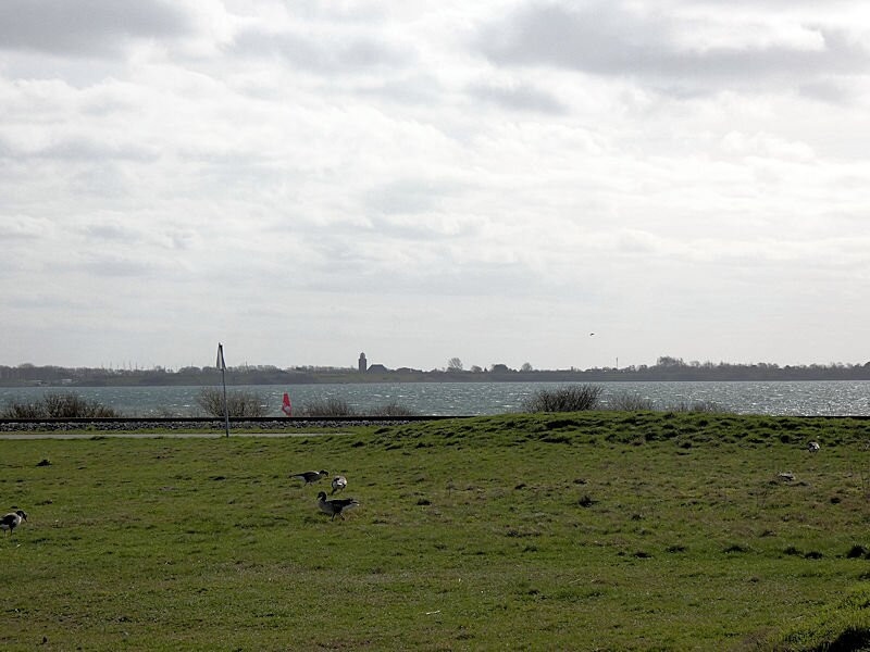 Uitkijktoren De Zeearend-Ouddorp必去景点