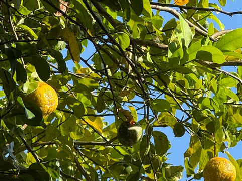 博卡奇卡湾生态小屋酒店主图