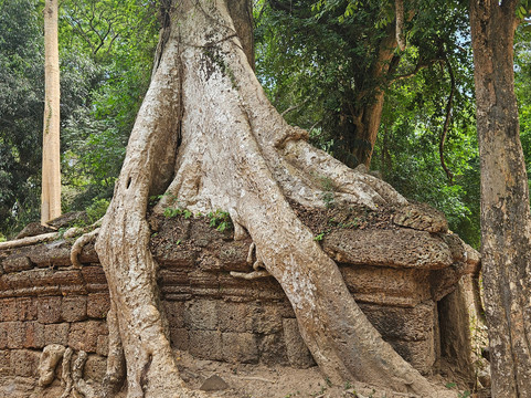 Angkor Wat Drivers-暹粒必去景点