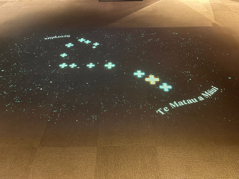 Space Place at Carter Observatory-惠灵顿必去景点