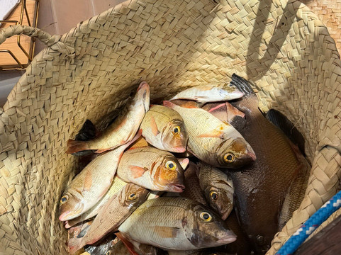 Lamu Adventure-拉穆岛必去景点