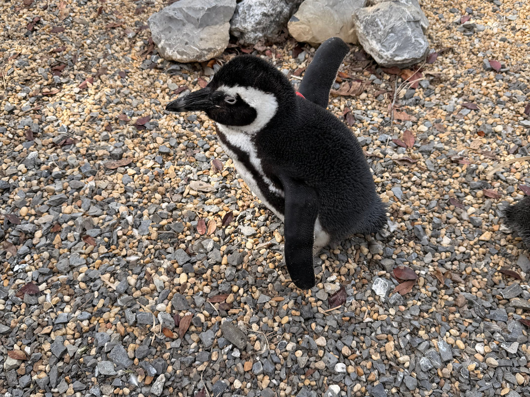 弗吉尼亚游猎公园-天然桥必去景点