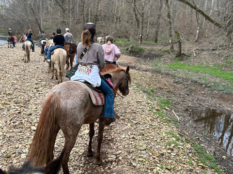 Natchez Trace Stables-Primm Springs必去景点